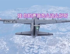 飞机上小姐姐开变声器吗,揭秘飞机上小姐姐的神秘变声器