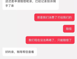 武清骑手小姐姐,青春风采下的都市骑士传奇