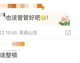 网红小芸,从网络红人到影响力巨擘的蜕变之路